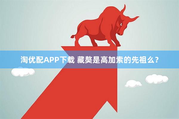 淘优配APP下载 藏獒是高加索的先祖么？